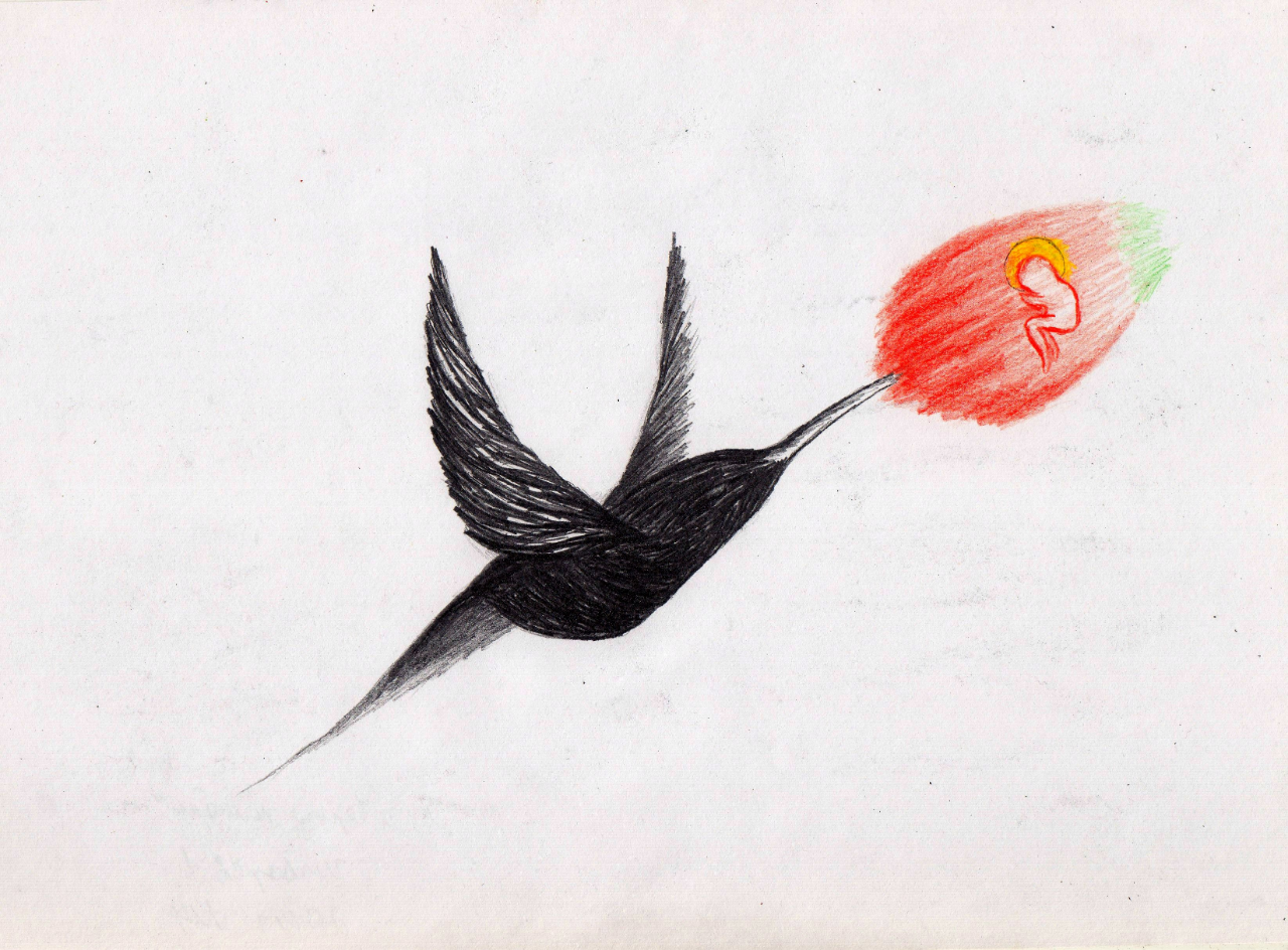 Птица рисунок лёгкий Калибри