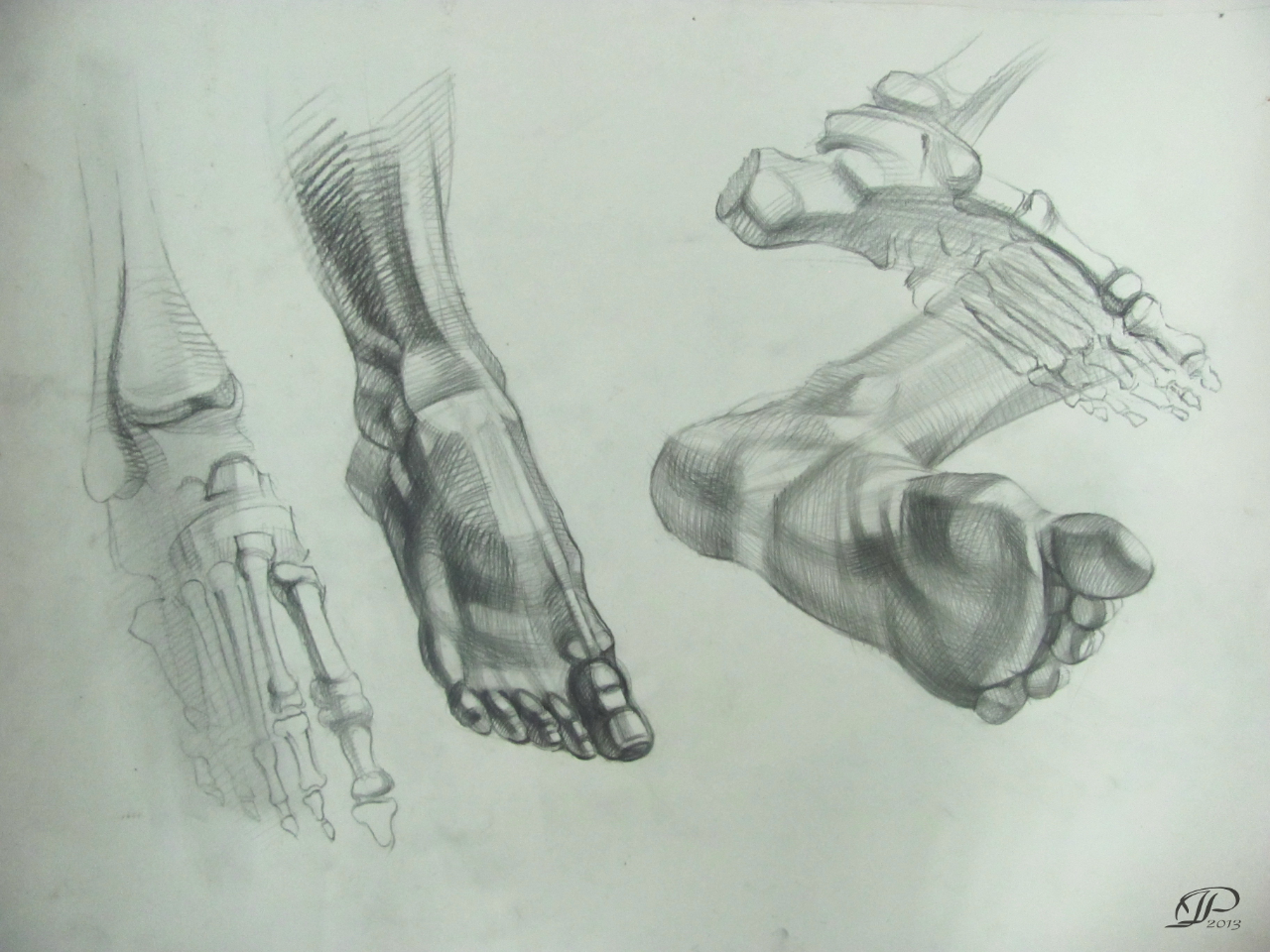 Зарисовки кистей рук с анатомических таблиц Бамос