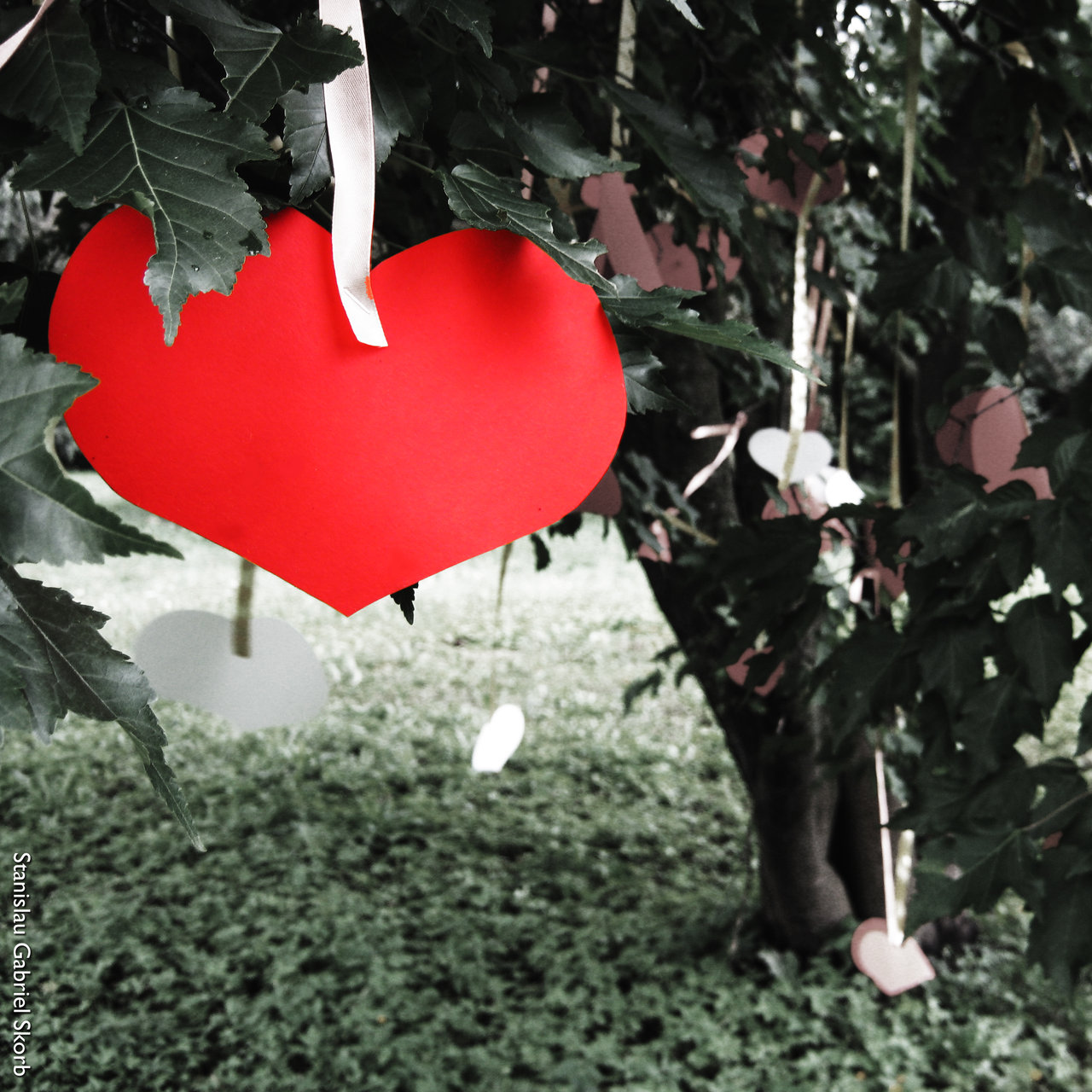 Valentine's Tree 2