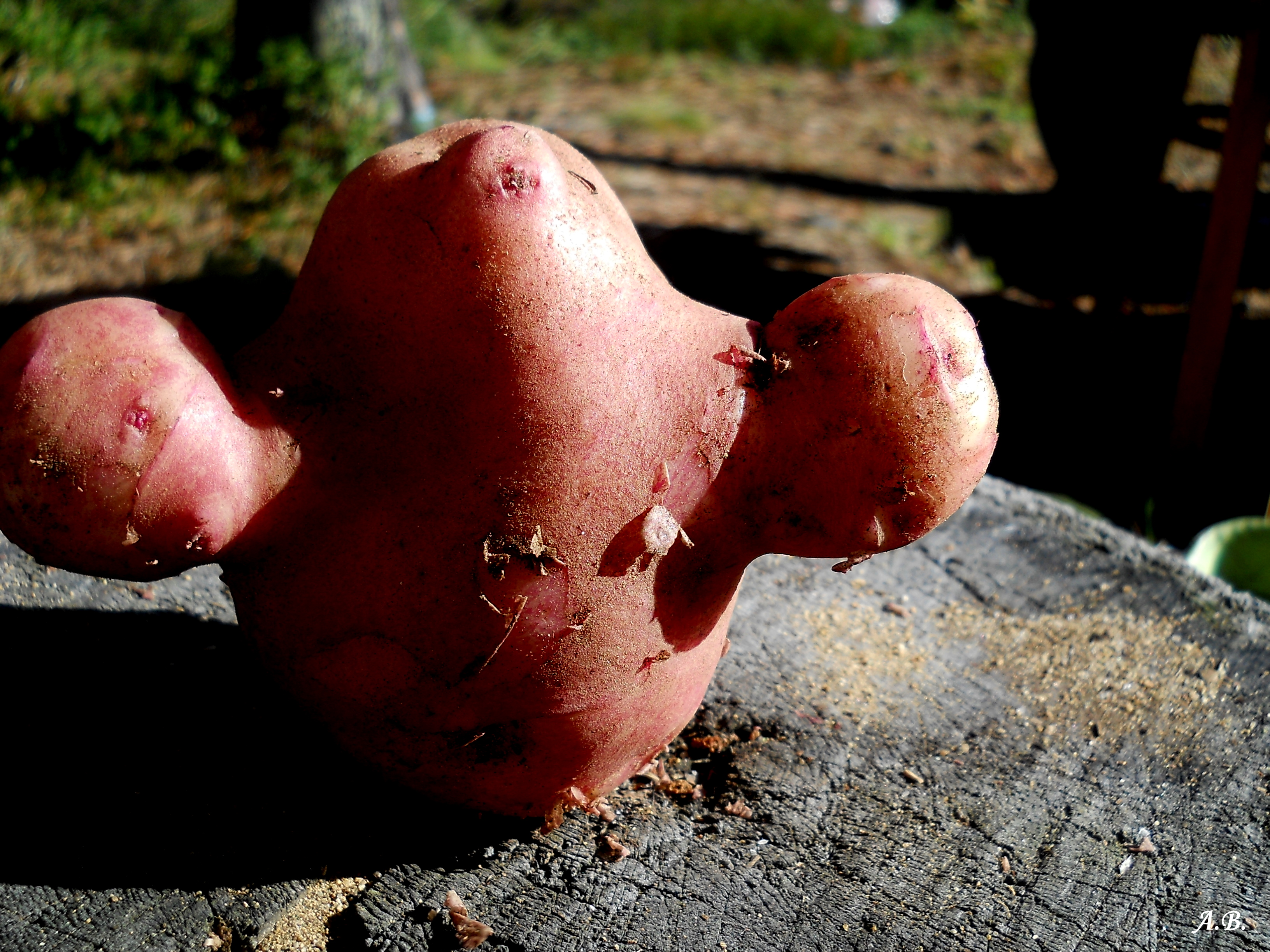 Картошка-Человечек